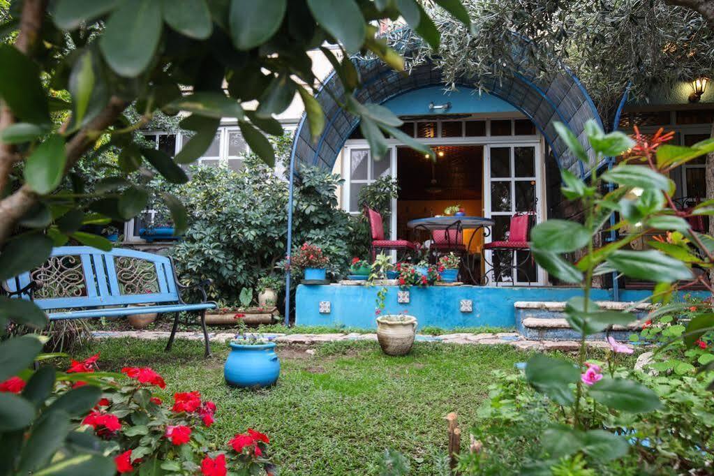 Havaya Ba Nof Lodge Rosh Pinna Dış mekan fotoğraf